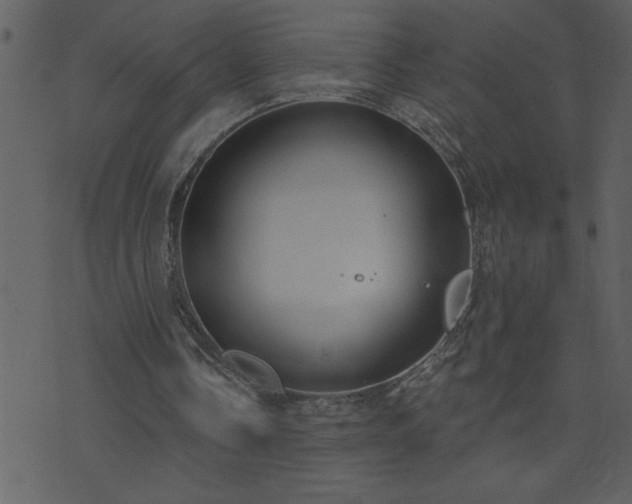 X0000071770338200606301200