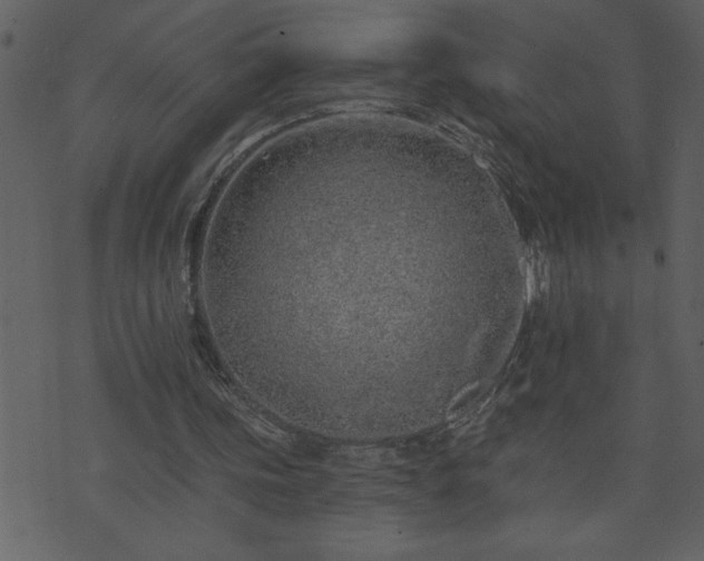 X0000071770339200606301200