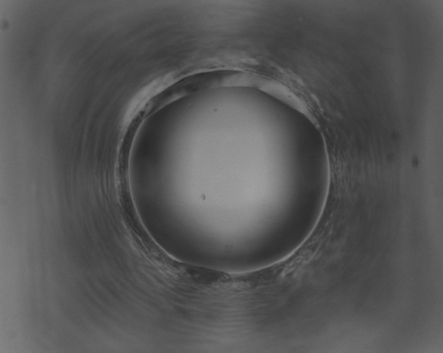 X0000071770340200606301201