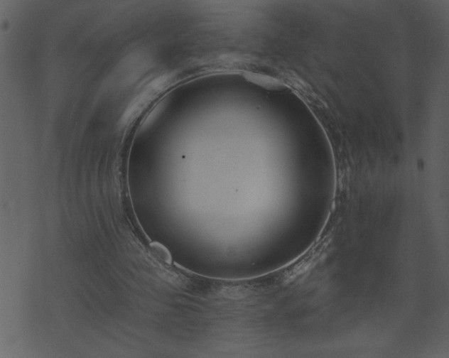 X0000071770341200606301201