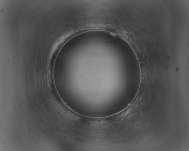 X0000071770342200606301201