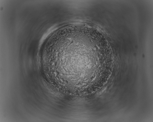 X0000071770343200606301201