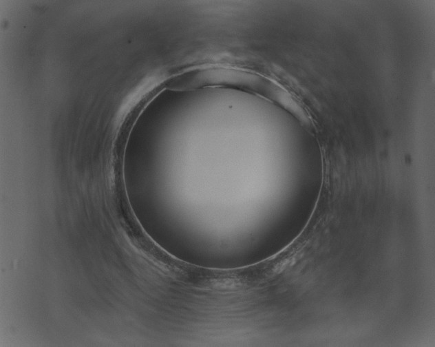 X0000071770344200606301201