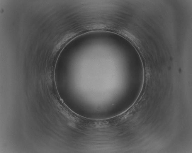 X0000071770345200606301201