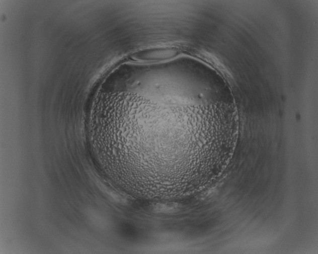 X0000071770346200606301201