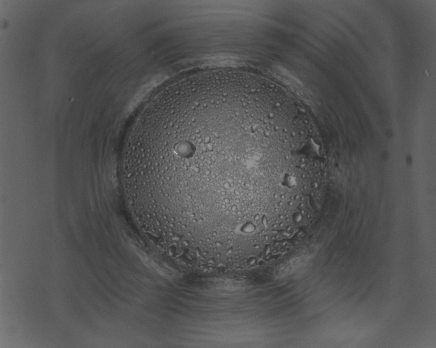 X0000071770347200606301201