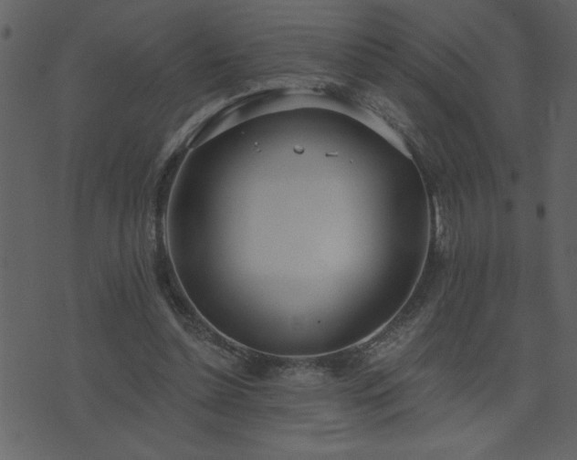 X0000071770348200606301201