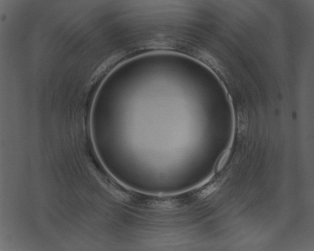 X0000071770349200606301201