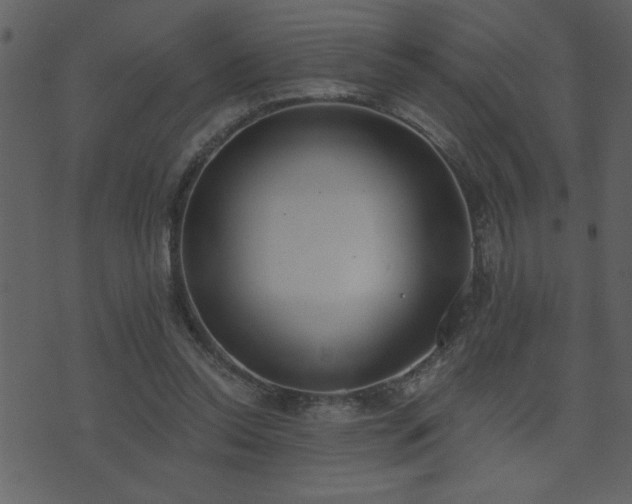 X0000071770350200606301201