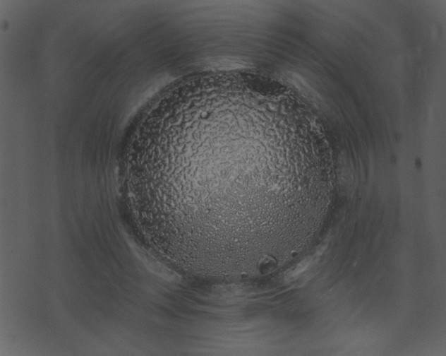 X0000071770351200606301201