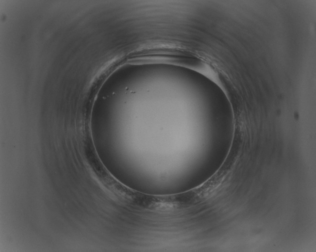 X0000071770352200606301201