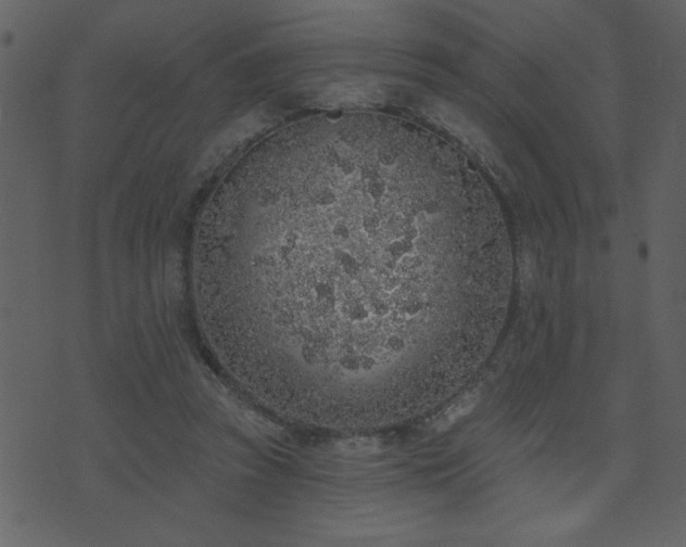 X0000071770353200606301201