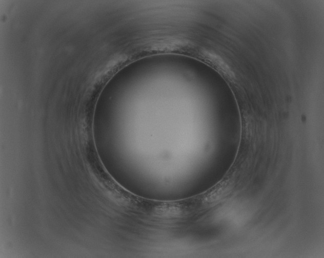 X0000071770354200606301201