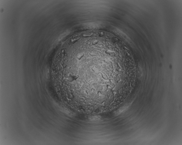 X0000071770355200606301201