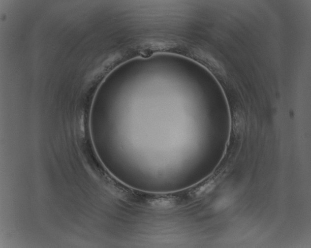 X0000071770358200606301201