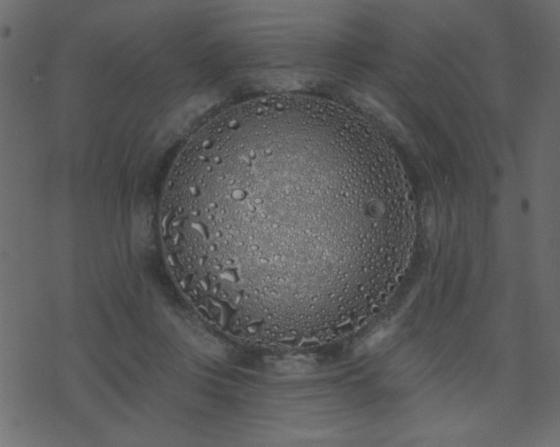 X0000071770359200606301201