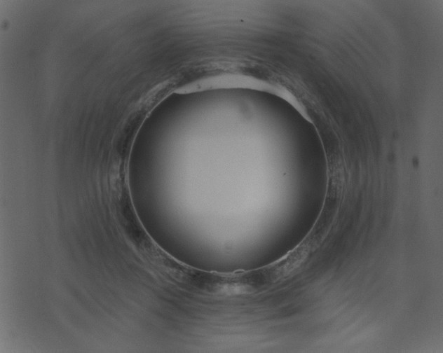 X0000071770360200606301201