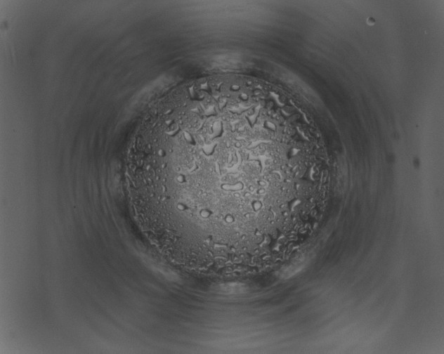 X0000071770361200606301201