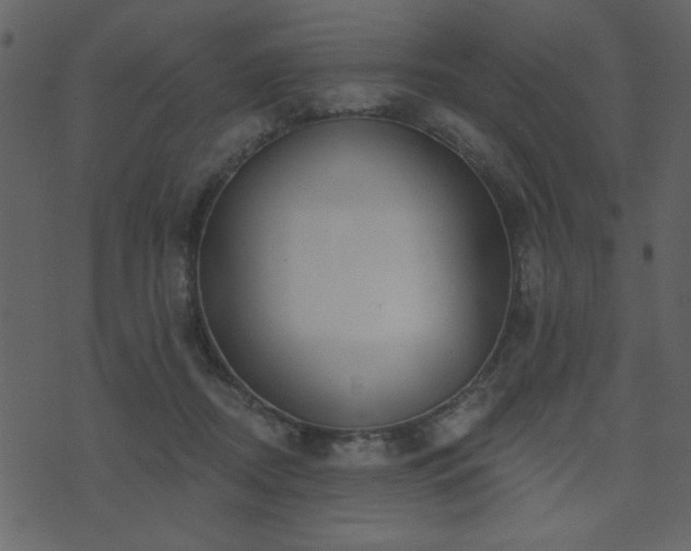 X0000071770362200606301201