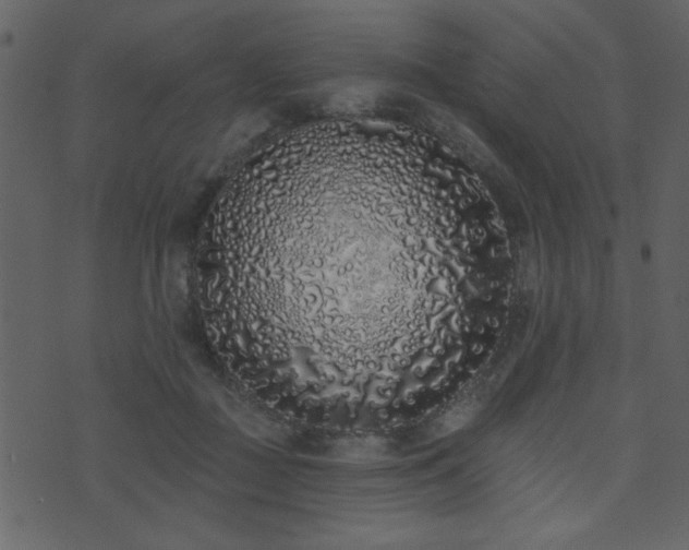 X0000071770363200606301201