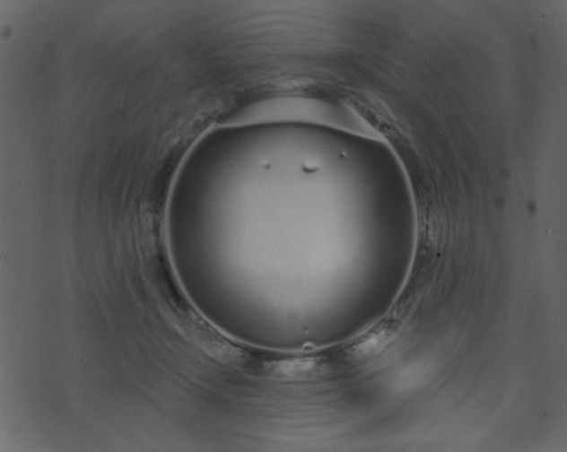 X0000071770366200606301201