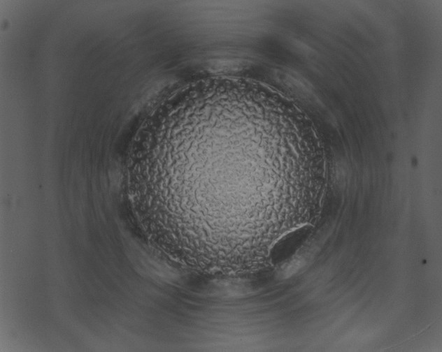 X0000071770367200606301201