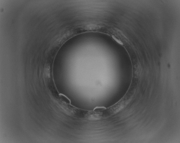 X0000071770368200606301201