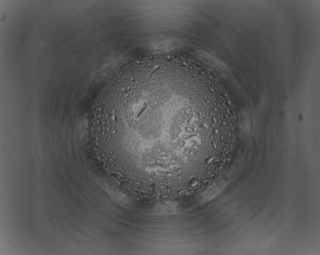 X0000071770369200606301201