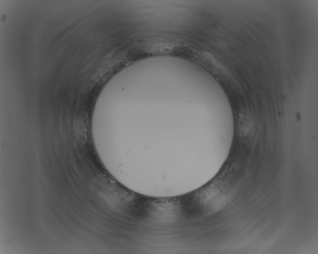 X0000071770370200606301201