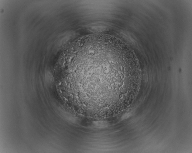 X0000071770371200606301201