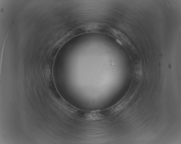 X0000071770372200606301201