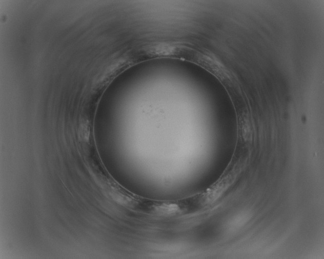 X0000071770374200606301201