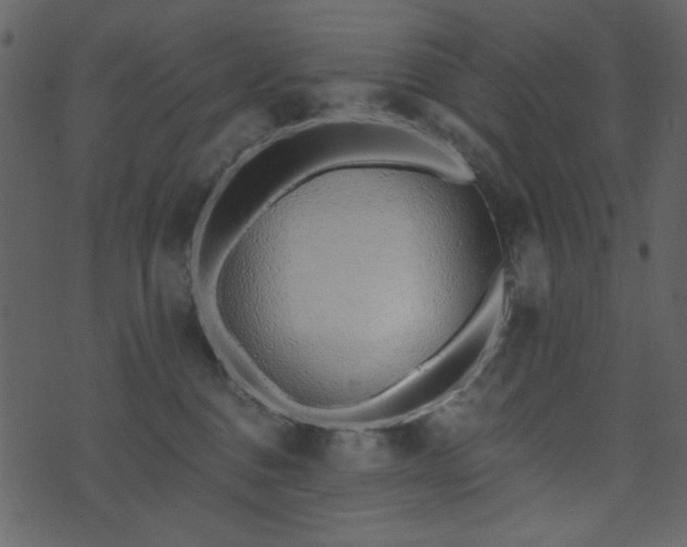 X0000071770376200606301201