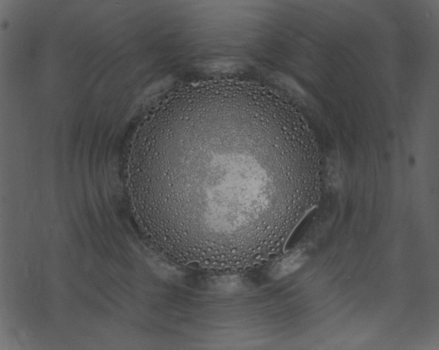 X0000071770377200606301201