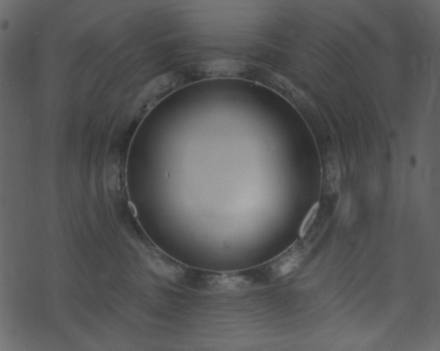 X0000071770379200606301201