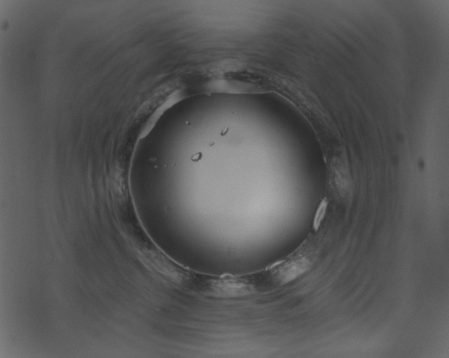 X0000071770380200606301201