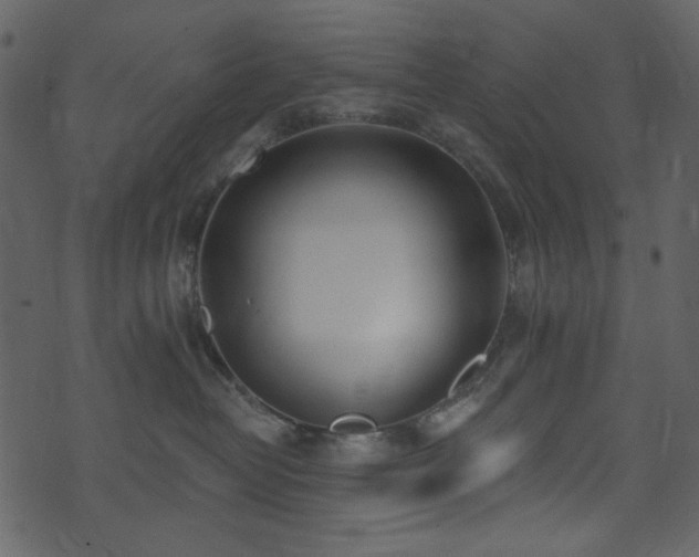 X0000071770382200606301201