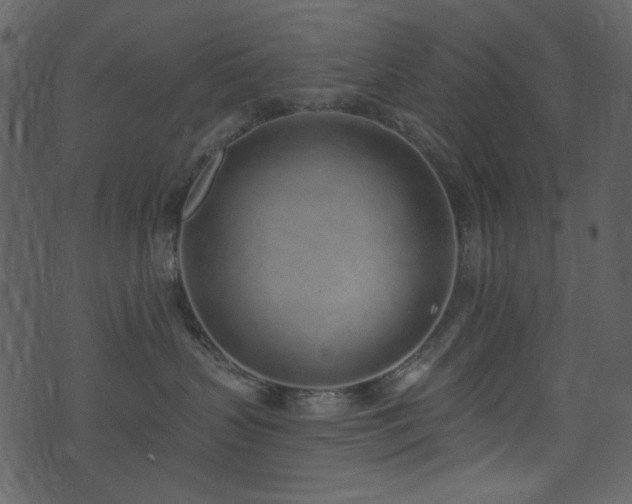 X0000071770383200606301201