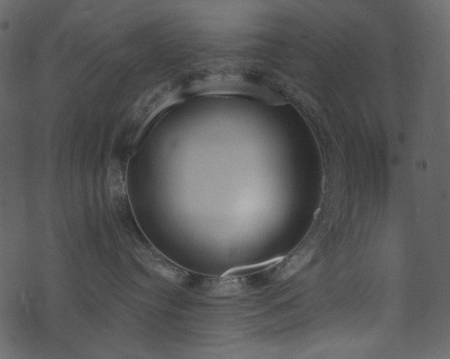 X0000071770384200606301201