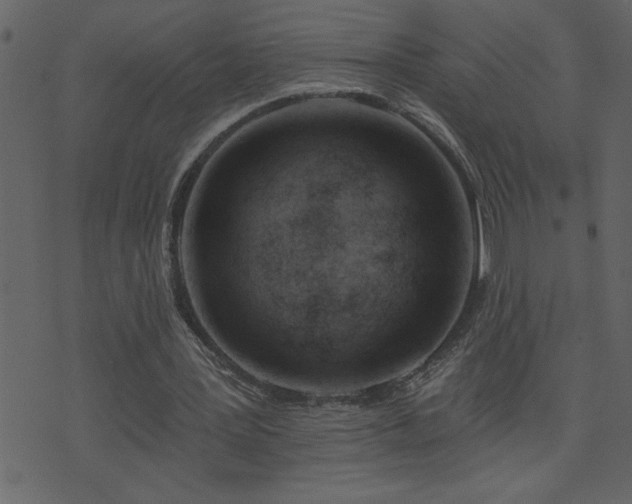 X0000071770387200606301200