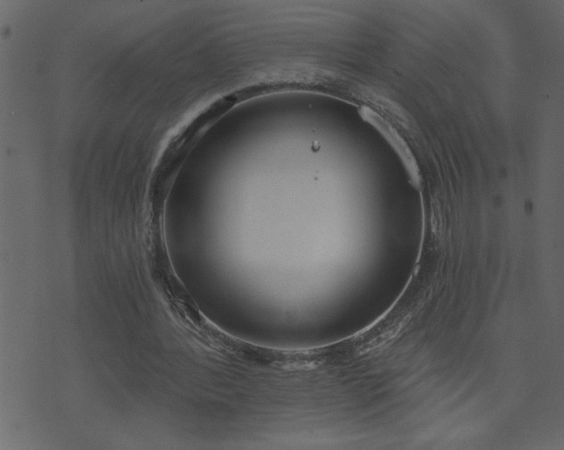 X0000071770388200606301200