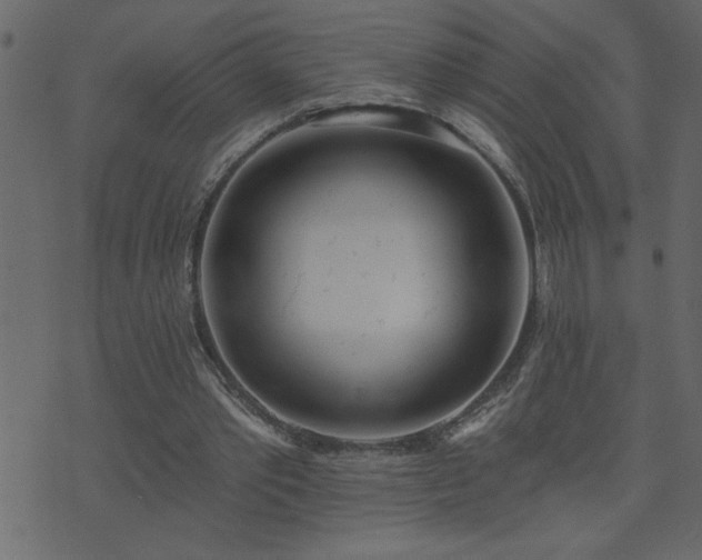 X0000071770389200606301200