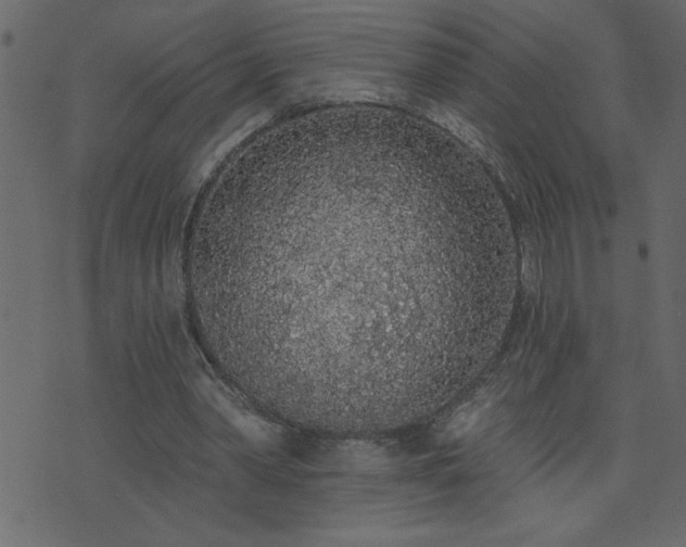 X0000071770390200606301200