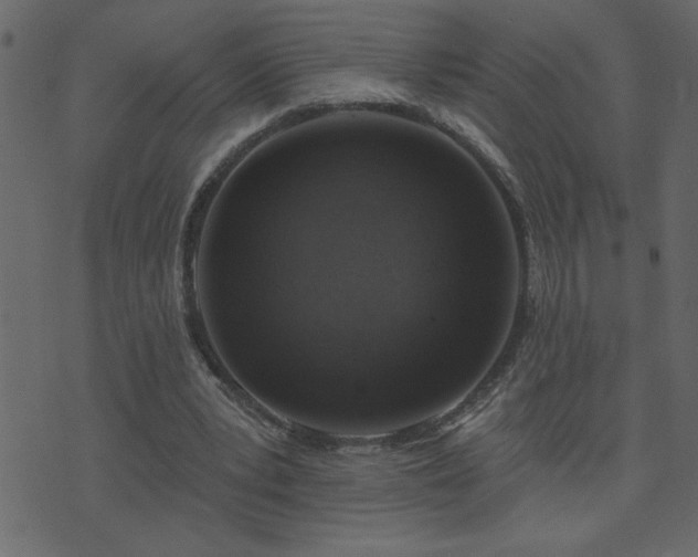 X0000071770391200606301200