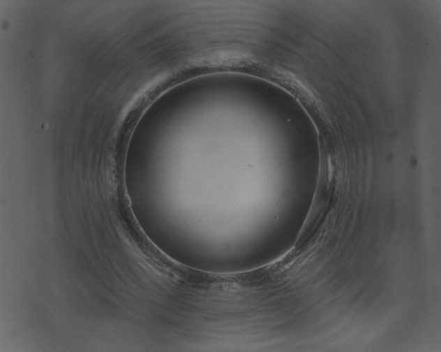 X0000071770392200606301200