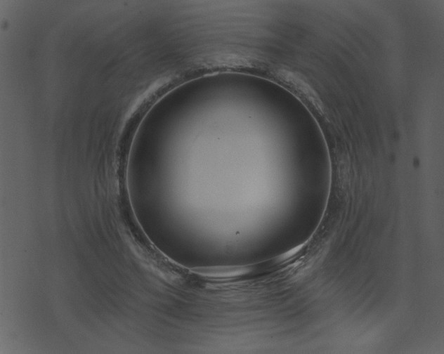 X0000071770395200606301200