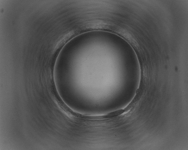 X0000071770397200606301200