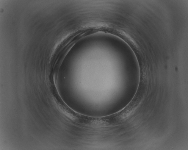 X0000071770399200606301200