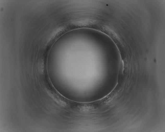 X0000071770400200606301200