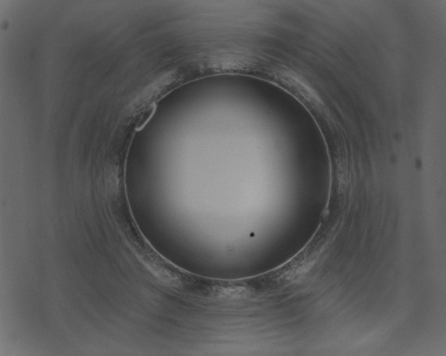 X0000071770401200606301200